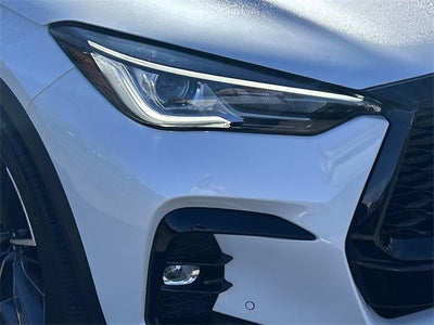2024 INFINITI QX50 SPORT