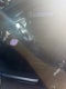 2023 INFINITI QX55 SENSORY