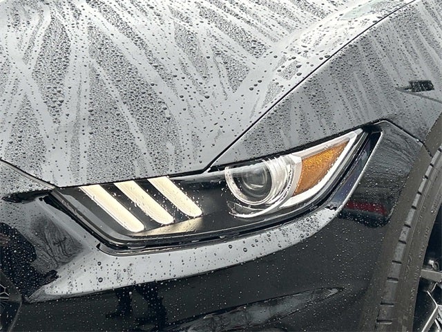 2017 Ford Mustang Shelby GT350