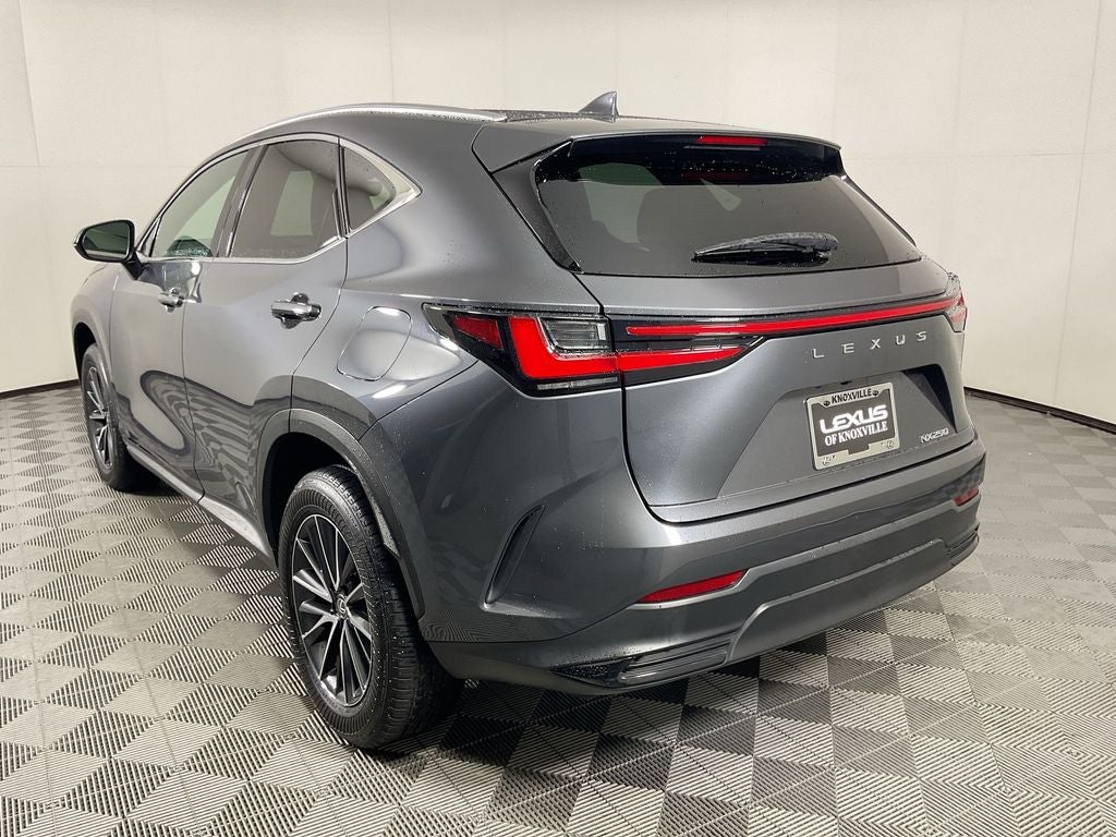 2024 Lexus NX 250