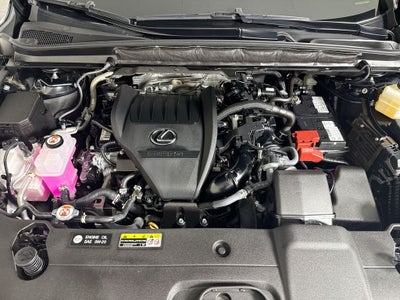 2023 Lexus RX 350 Luxury