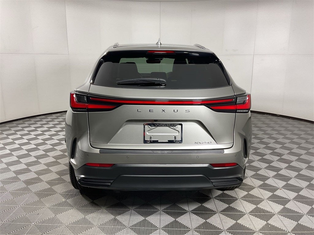 2024 Lexus NX 250 Premium