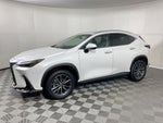 2025 Lexus NX 250 Premium