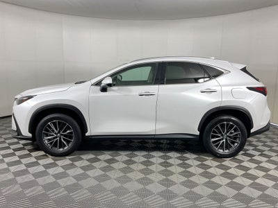 2025 Lexus NX 250 Premium