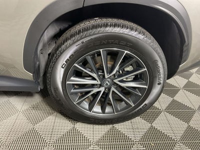 2024 Lexus NX 250 Premium