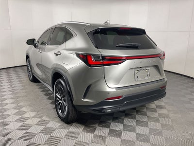 2024 Lexus NX 250 Premium