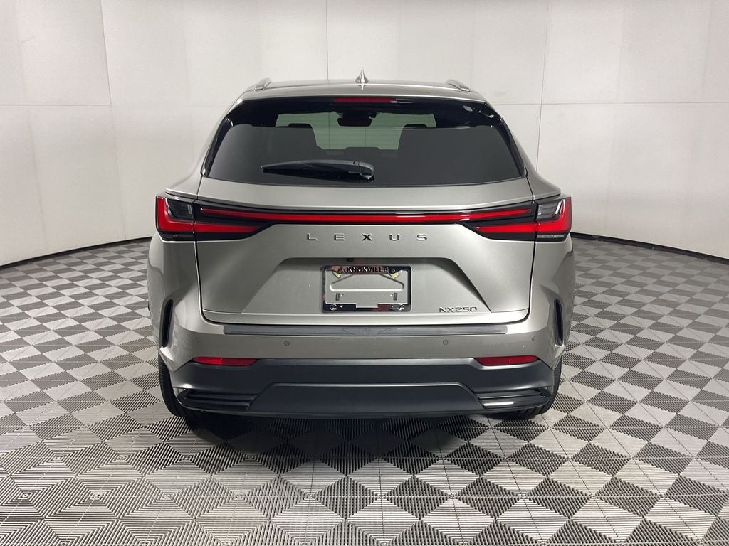 2024 Lexus NX 250 Premium