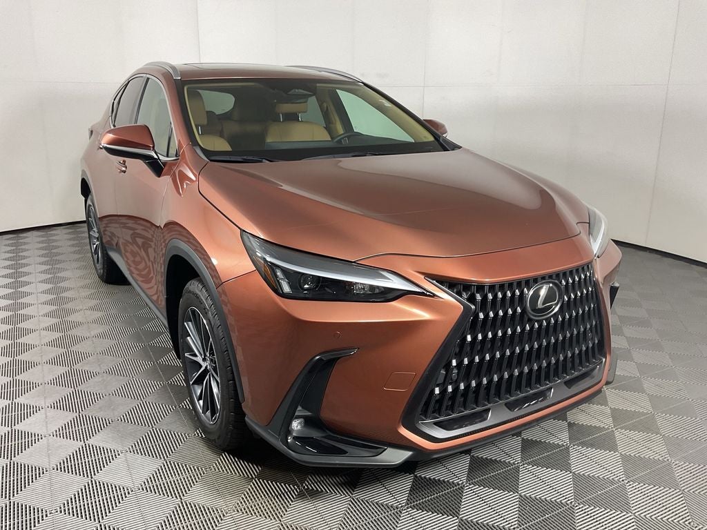 2025 Lexus NX 250 Premium