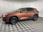 2025 Lexus NX 250 Premium