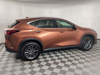 2025 Lexus NX 250 Premium