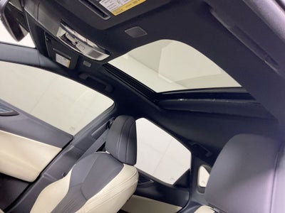2024 Lexus NX 250 Premium