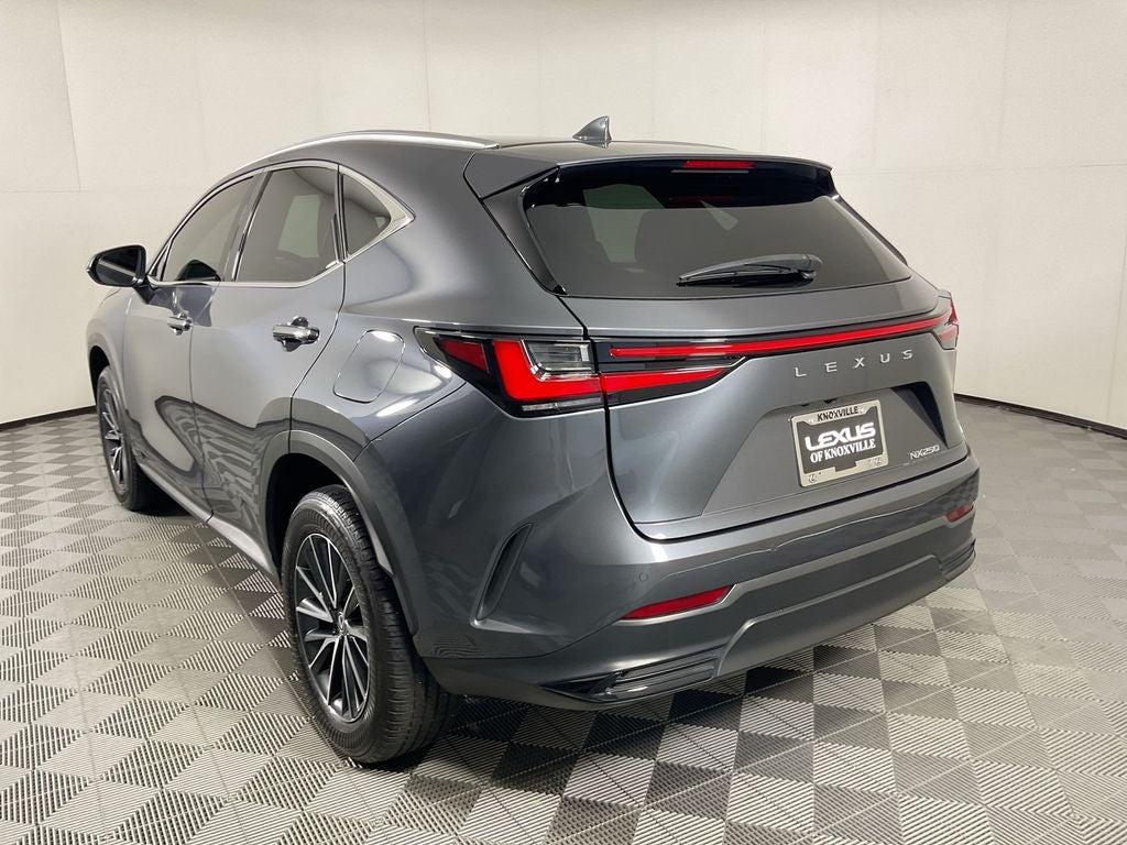 2024 Lexus NX 250 Premium