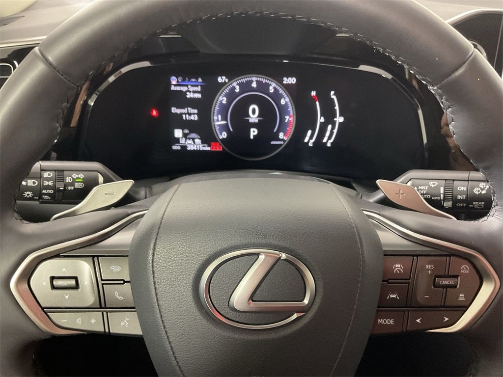 2024 Lexus NX 250 Premium