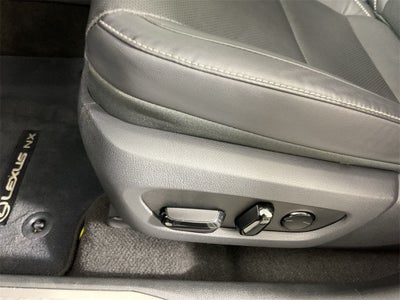 2024 Lexus NX 250 Premium