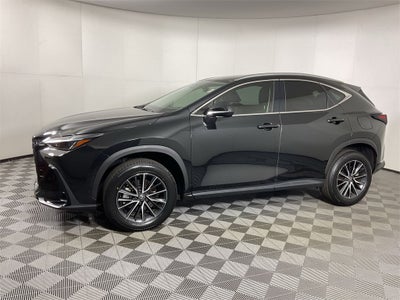 2024 Lexus NX 250 Premium