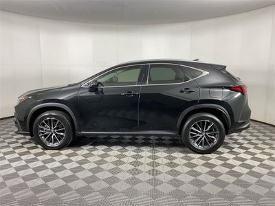 2024 Lexus NX 250 Premium