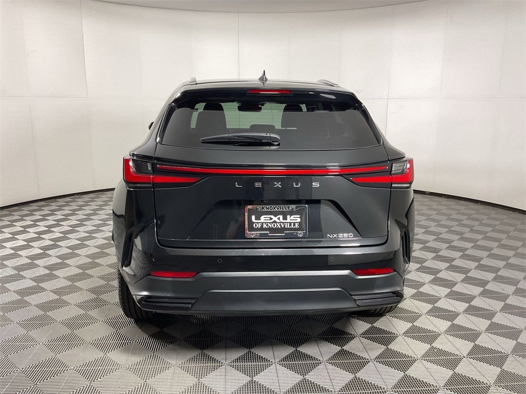 2024 Lexus NX 250 Premium