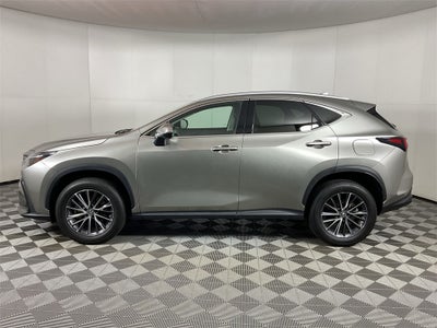 2023 Lexus NX 350 Premium