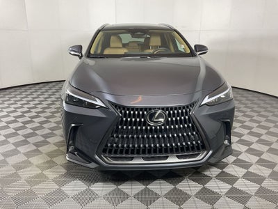 2024 Lexus NX 350h Premium