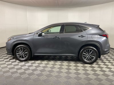 2024 Lexus NX 350h Premium