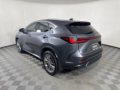 2023 Lexus NX 350 Luxury