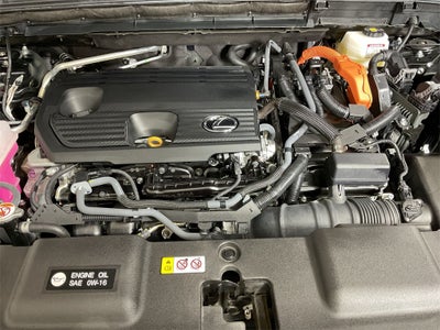 2024 Lexus NX 350h Luxury