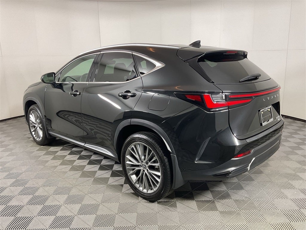 2024 Lexus NX 350h Luxury