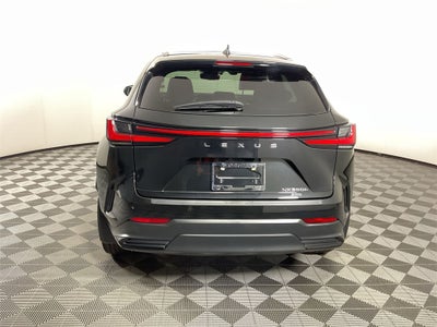 2024 Lexus NX 350h Luxury