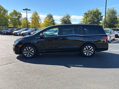 2025 Honda Odyssey EX-L