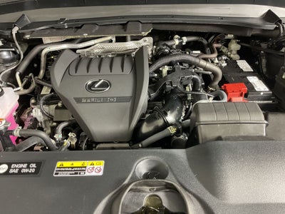 2024 Lexus TX 350 Luxury