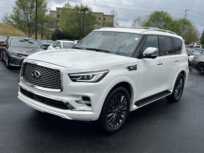 2023 INFINITI QX80 Sensory