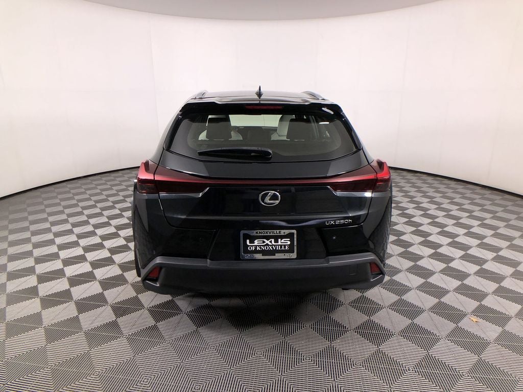2024 Lexus UX 250h Base