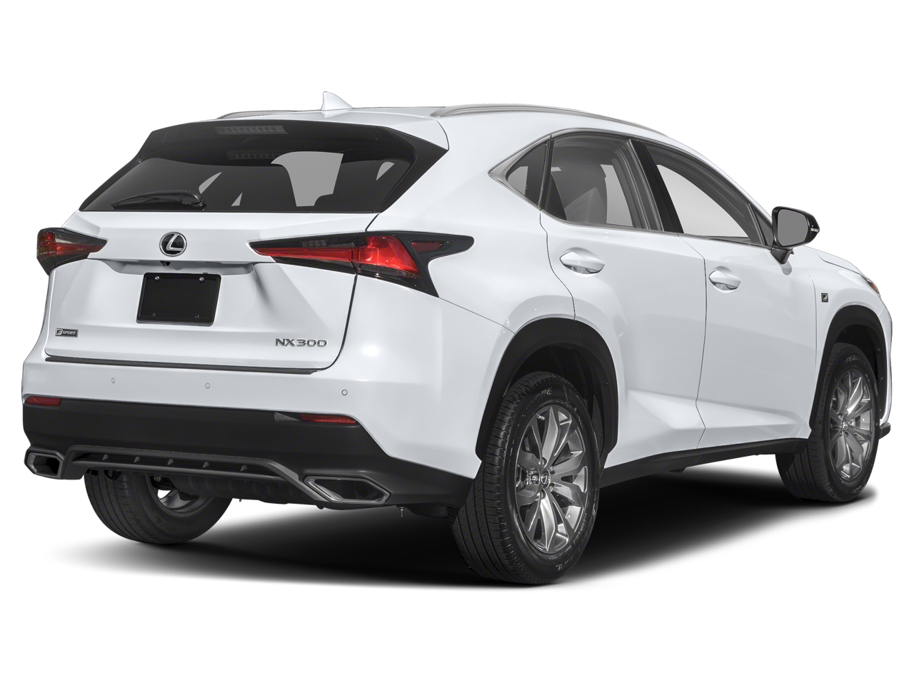 2019 Lexus NX 300 F SPORT