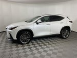 2023 Lexus NX 350h Luxury