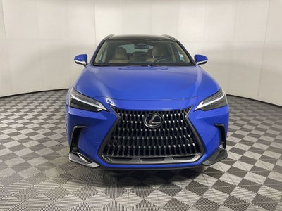 2025 Lexus NX 350h Luxury