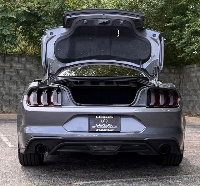 2023 Ford Mustang EcoBoost