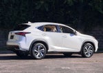 2021 Lexus NX 300h