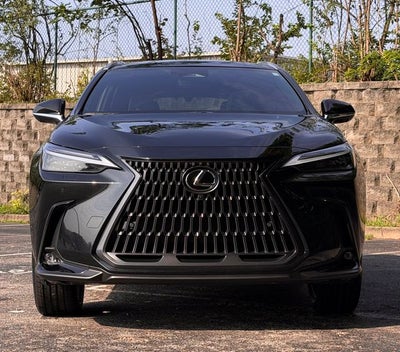 2024 Lexus NX 350h Luxury