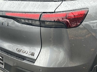 2026 INFINITI QX60 SPORT