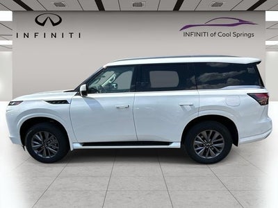 2027 INFINITI QX80 PURE